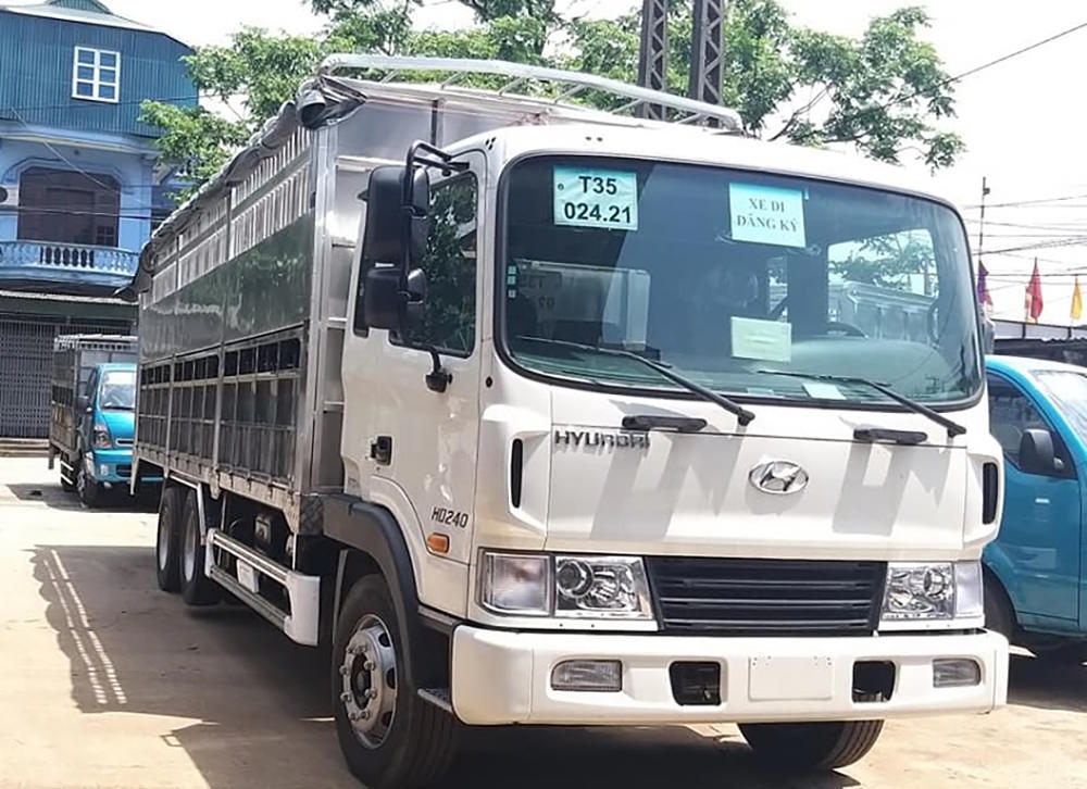 Hyundai HD240 thùng chở gia súc, lợn, heo